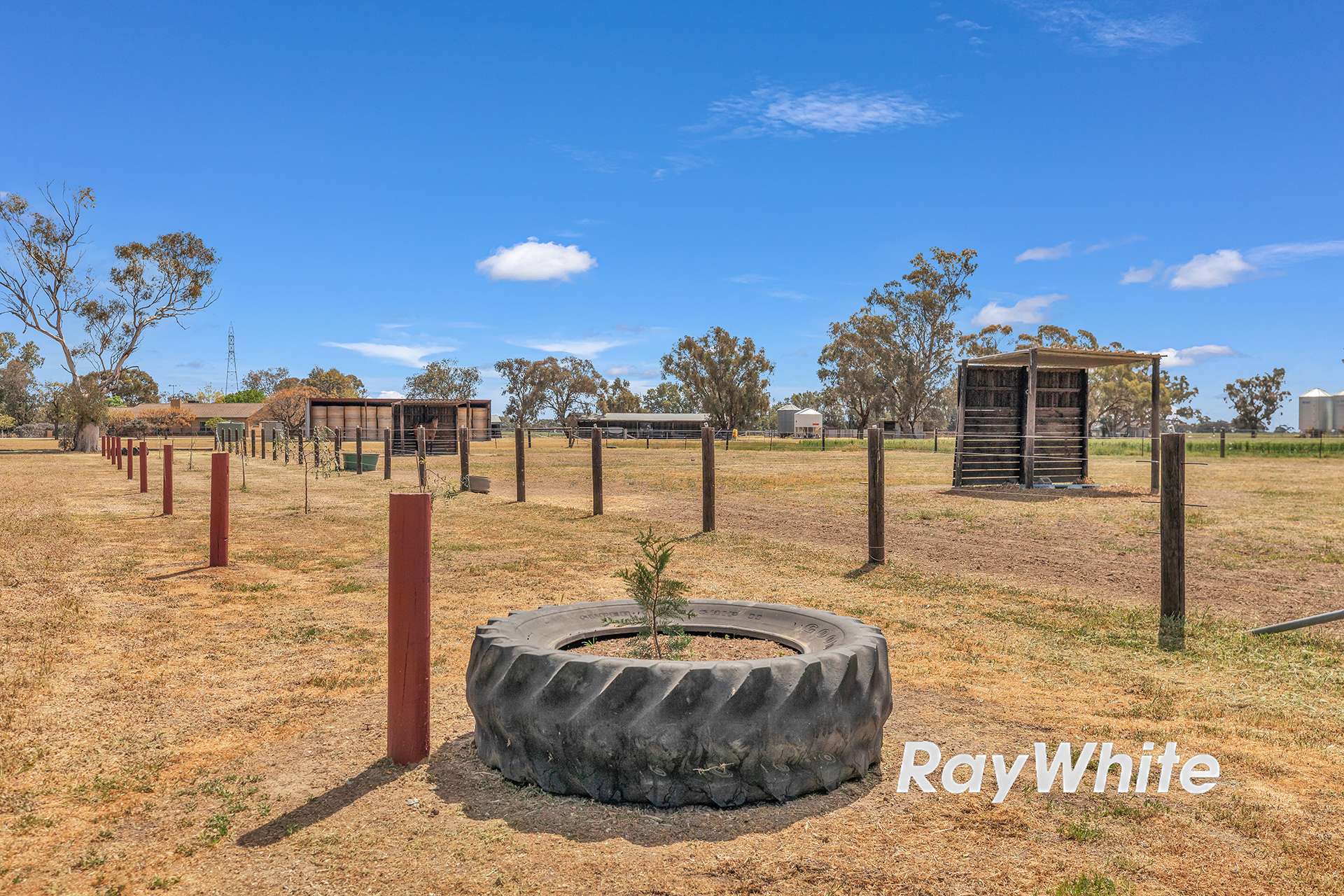 1963 Echuca-Serpentine Road, Calivil Sold by Farmbuy.com - image 33