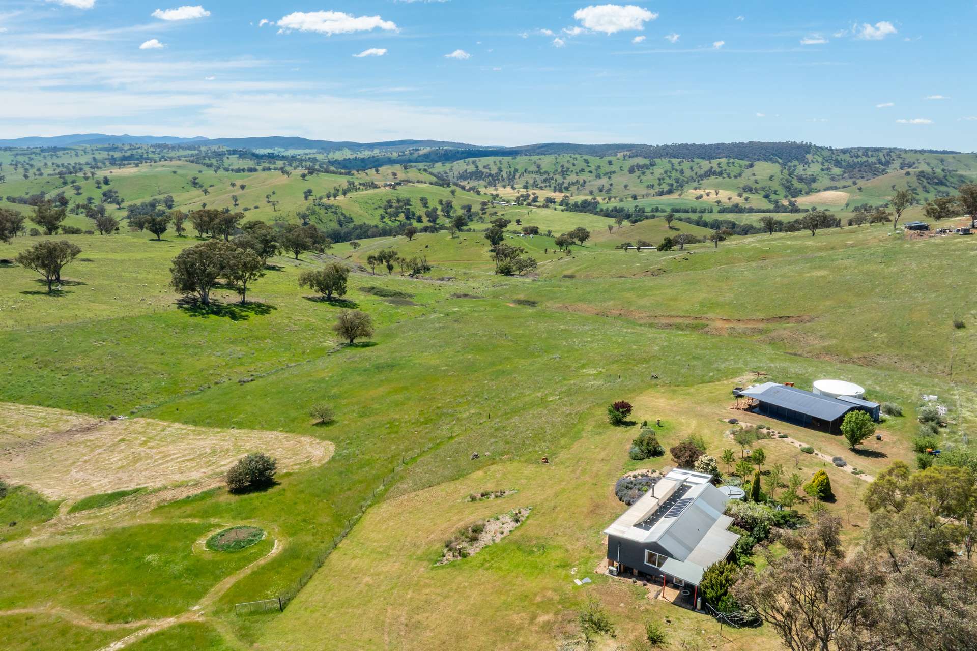 64 Wianamatta Road, Canowindra Sold by Farmbuy.com - image 1