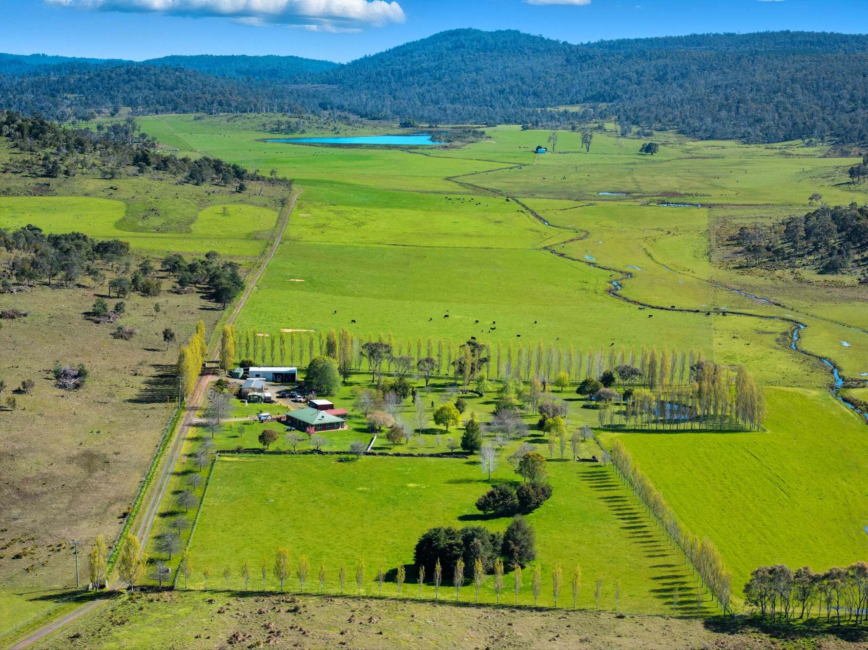'Hydaway' 448 Westwood Road, Westwood For Sale by Farmbuy.com - image 6