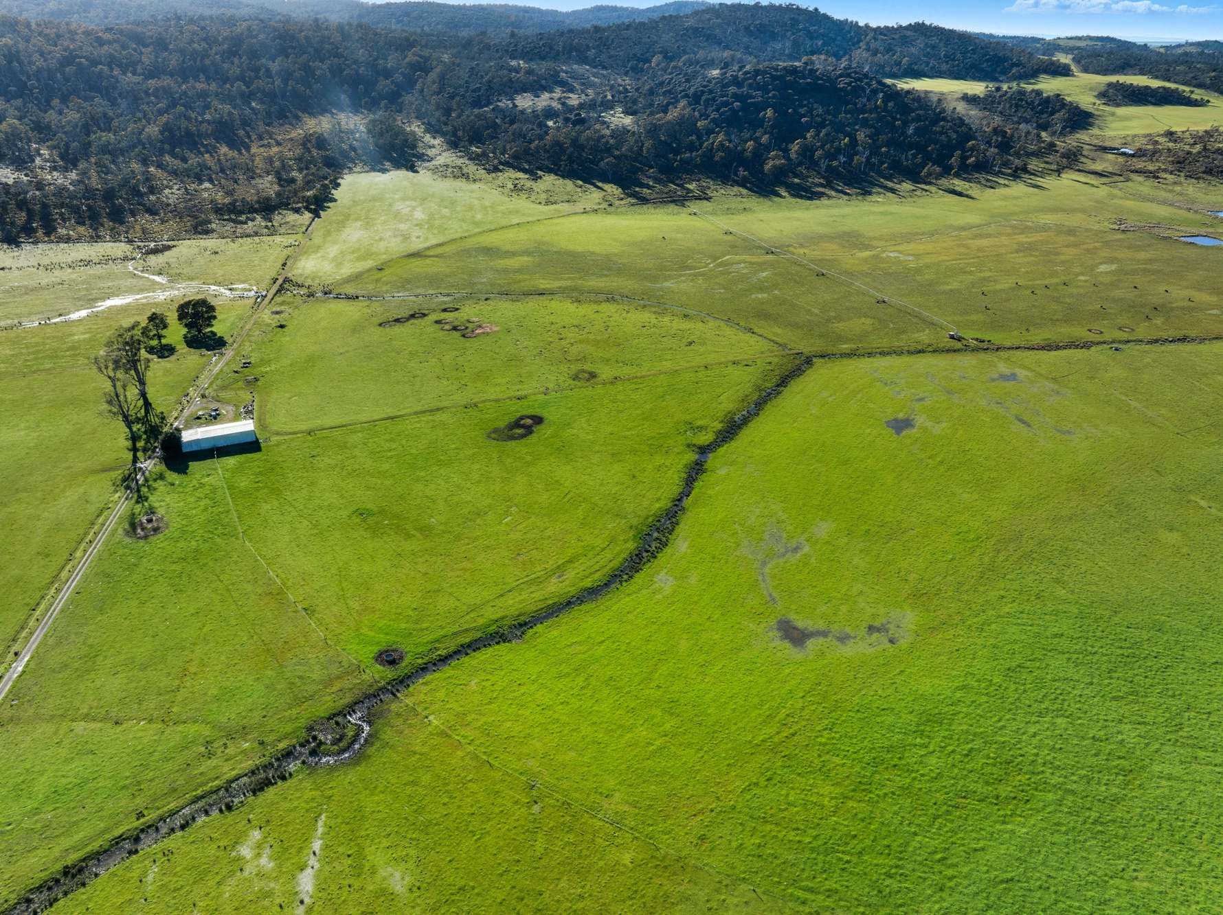 'Hydaway' 448 Westwood Road, Westwood For Sale by Farmbuy.com - image 8