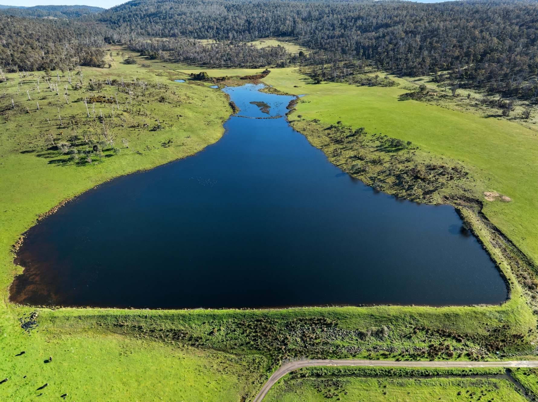 'Hydaway' 448 Westwood Road, Westwood For Sale by Farmbuy.com - image 7