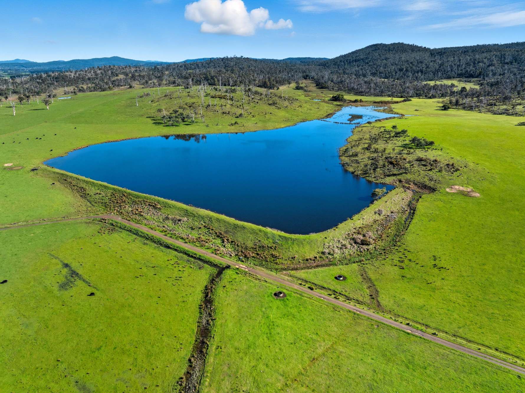'Hydaway' 448 Westwood Road, Westwood For Sale by Farmbuy.com - image 4