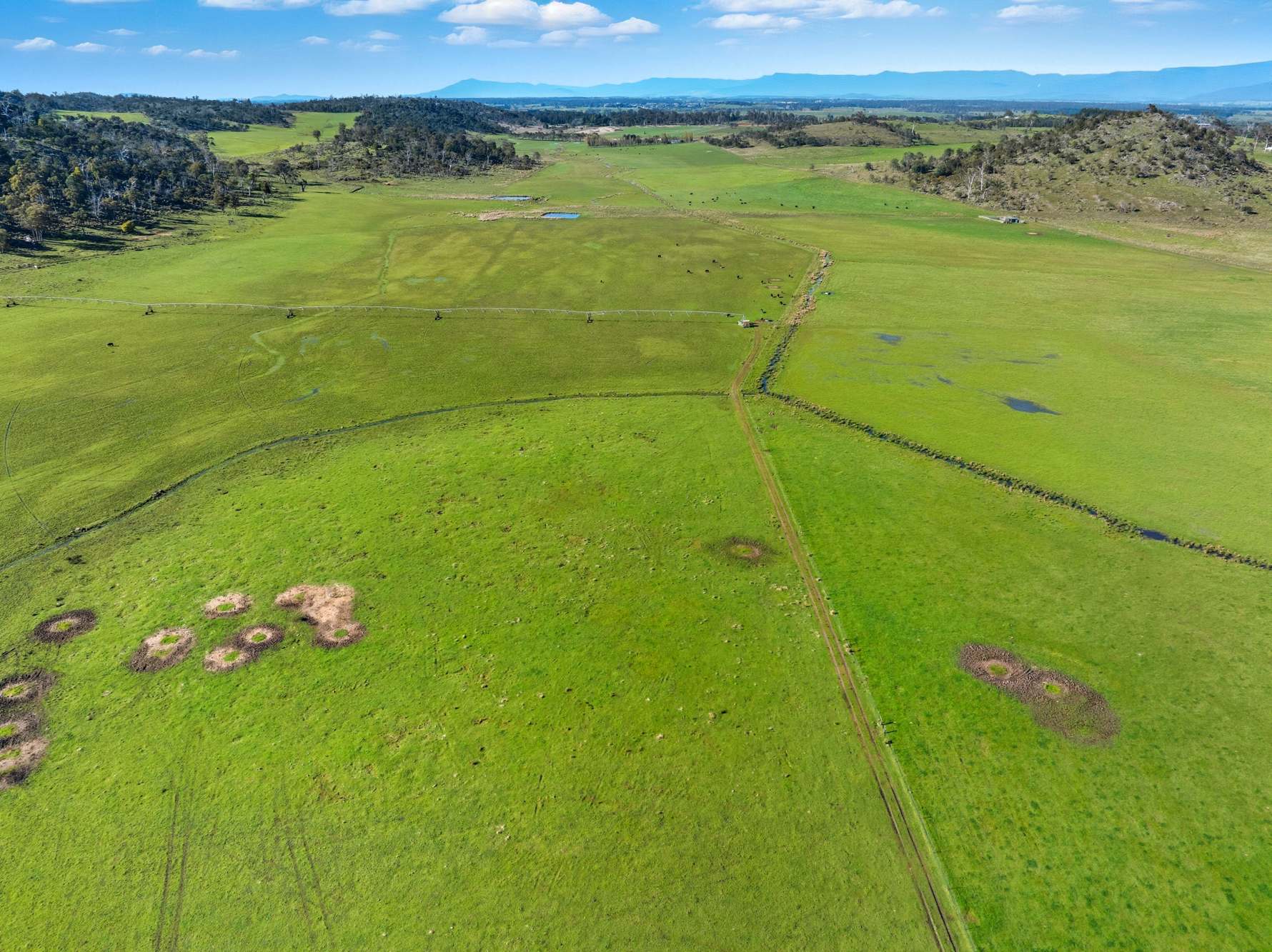 'Hydaway' 448 Westwood Road, Westwood For Sale by Farmbuy.com - image 11