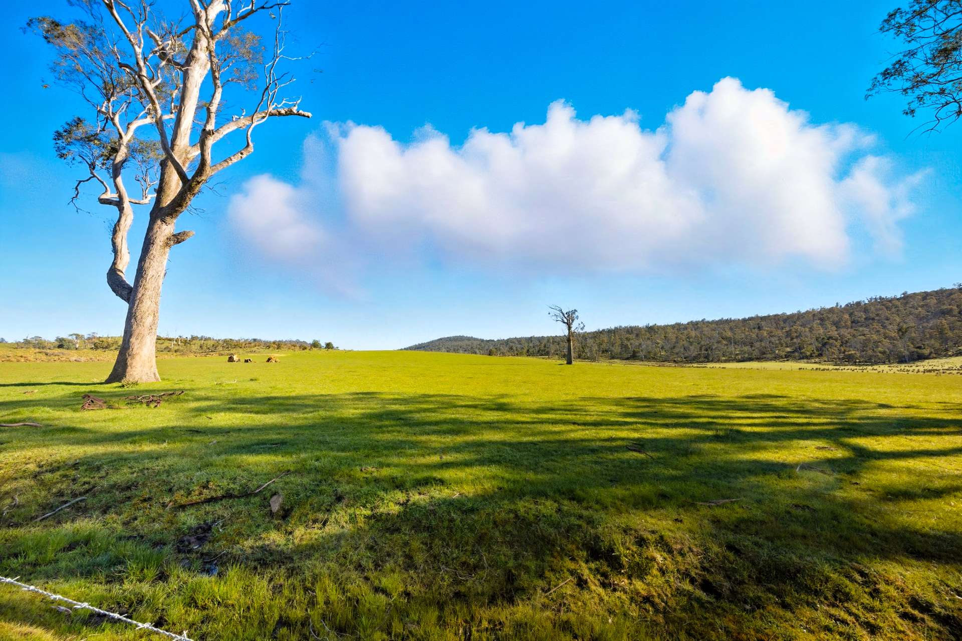 'Hydaway' 448 Westwood Road, Westwood For Sale by Farmbuy.com - image 24