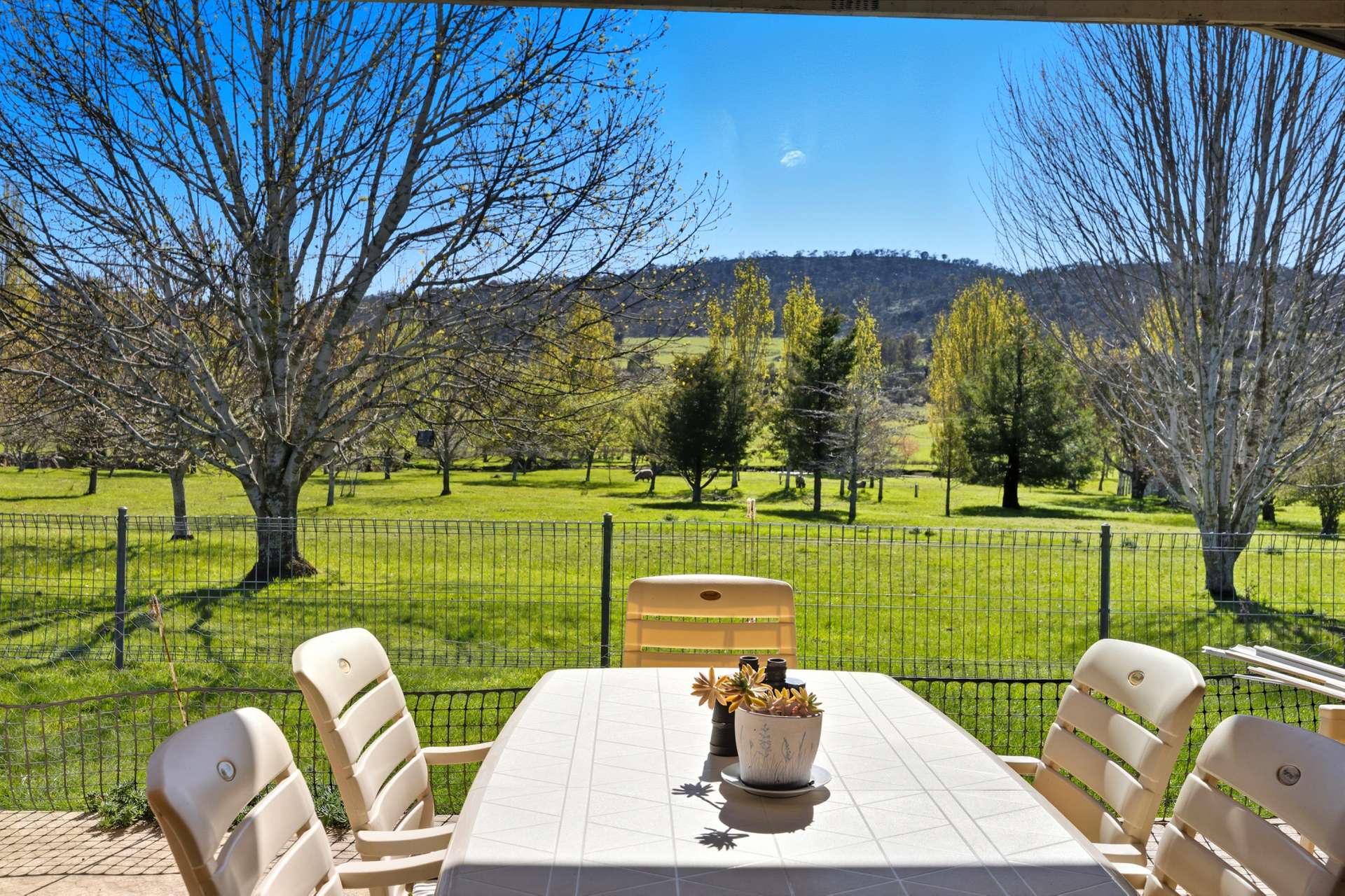 'Hydaway' 448 Westwood Road, Westwood For Sale by Farmbuy.com - image 13