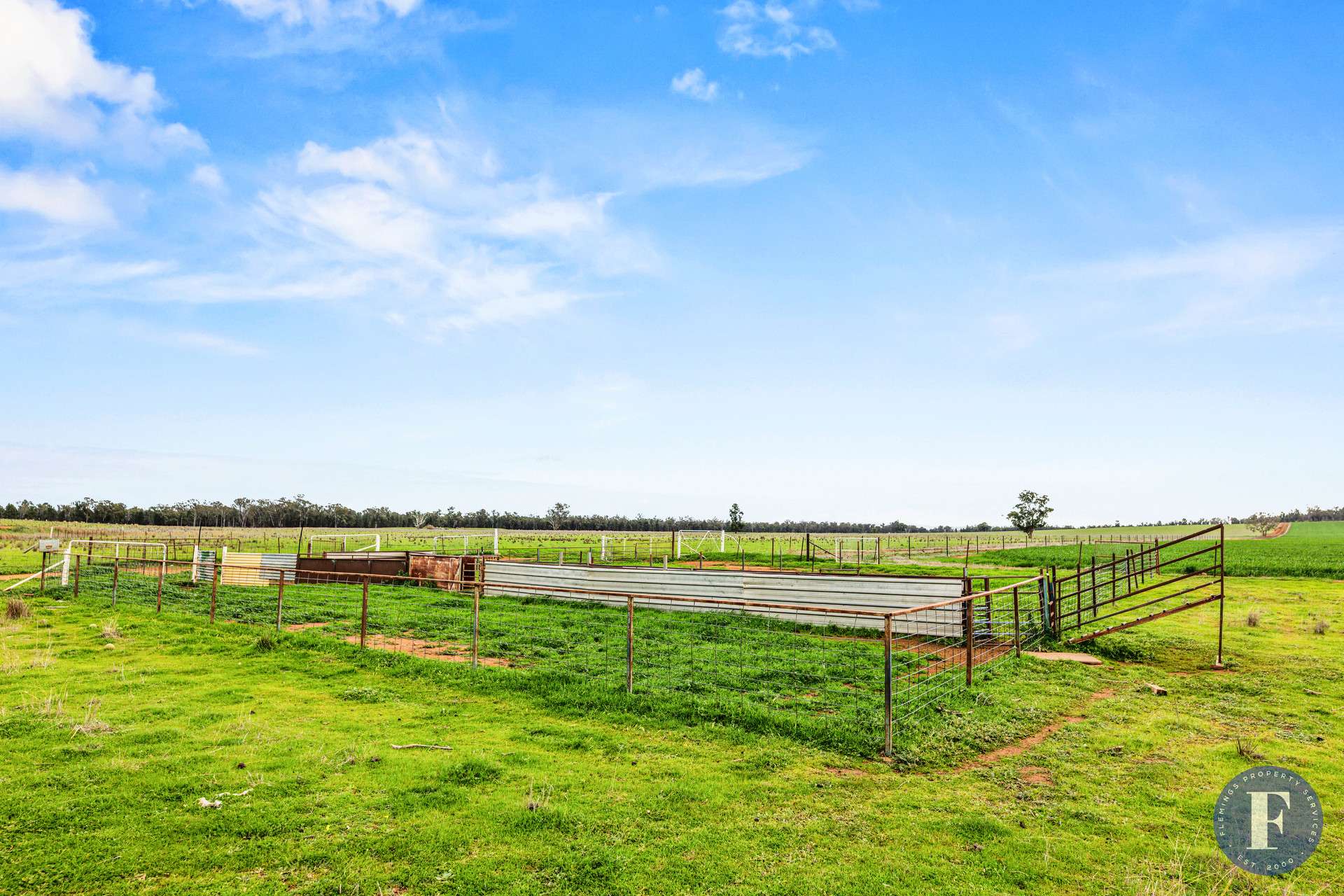 893 Deaths Lane, Pullabooka For Sale by Farmbuy.com - image 20
