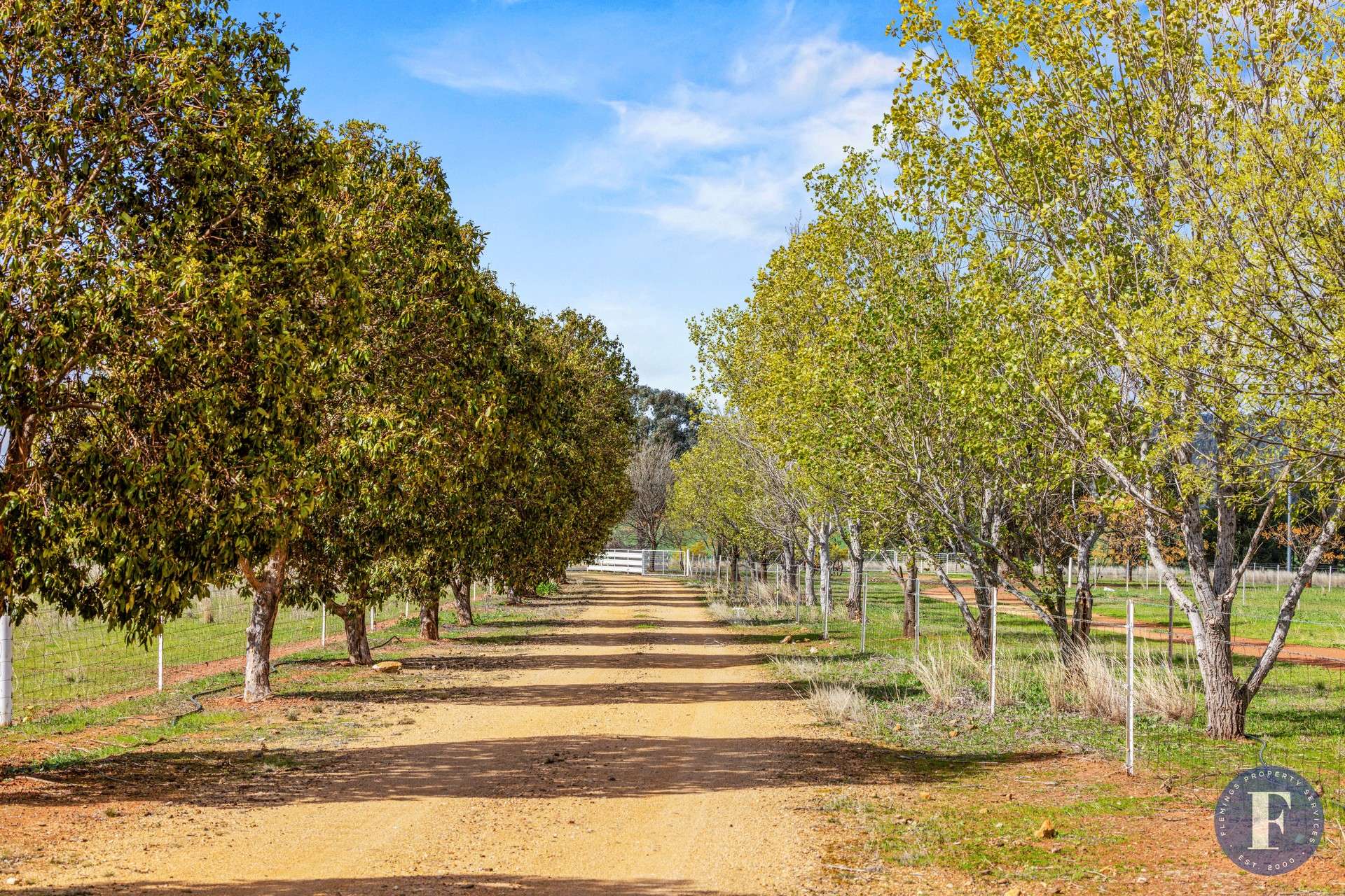 893 Deaths Lane, Pullabooka For Sale by Farmbuy.com - image 8