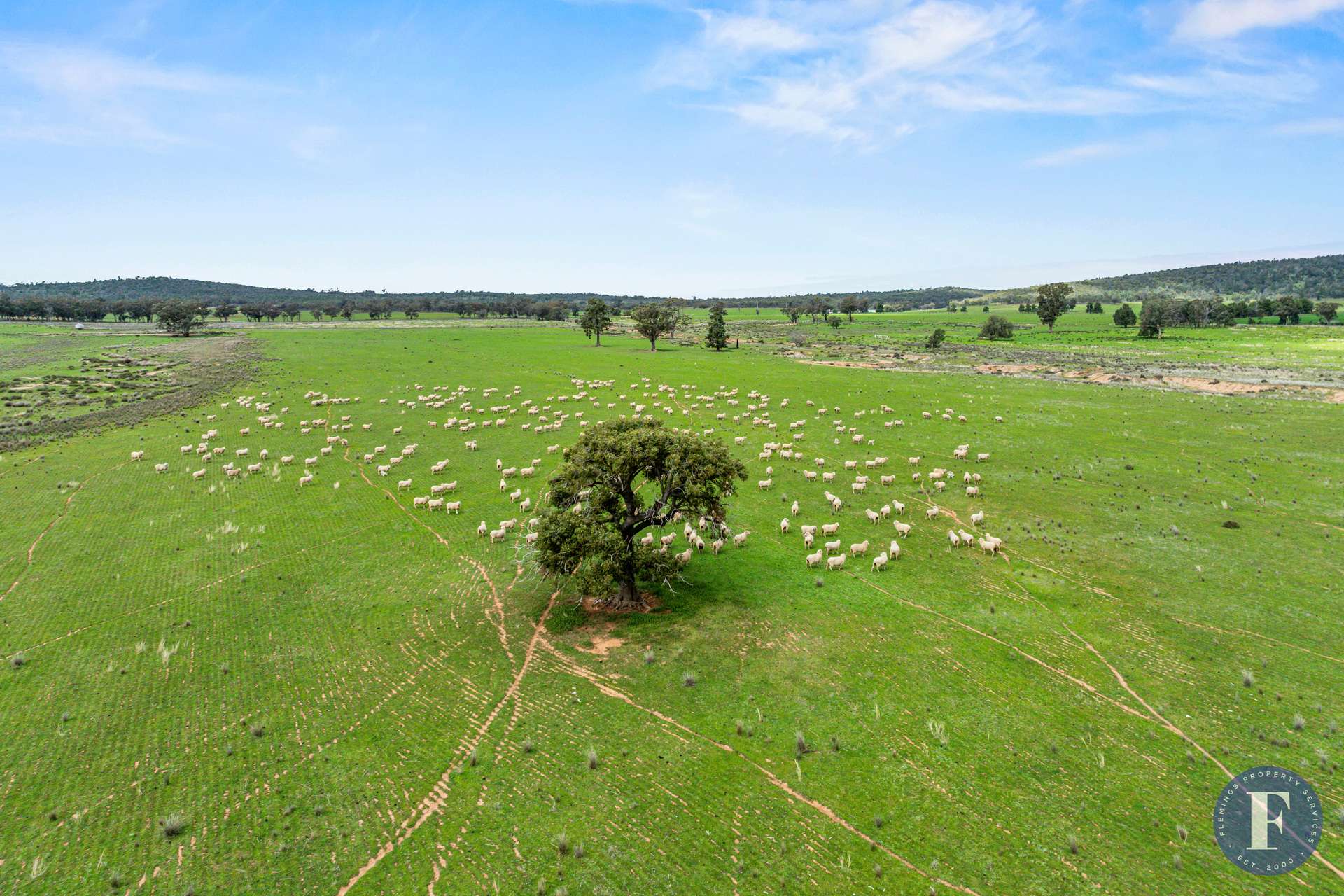893 Deaths Lane, Pullabooka For Sale by Farmbuy.com - image 5