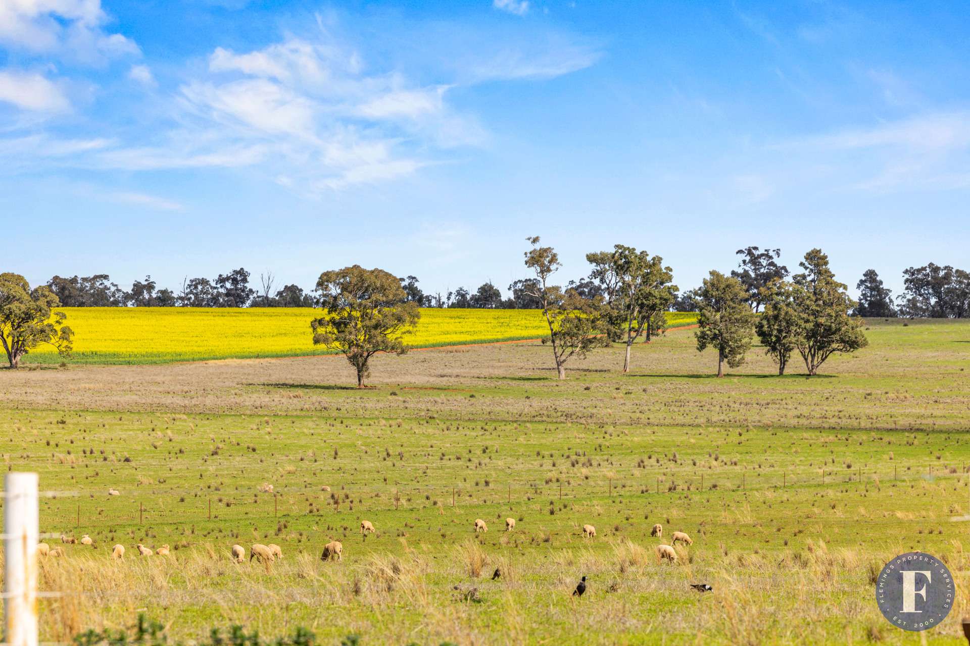 893 Deaths Lane, Pullabooka For Sale by Farmbuy.com - image 27