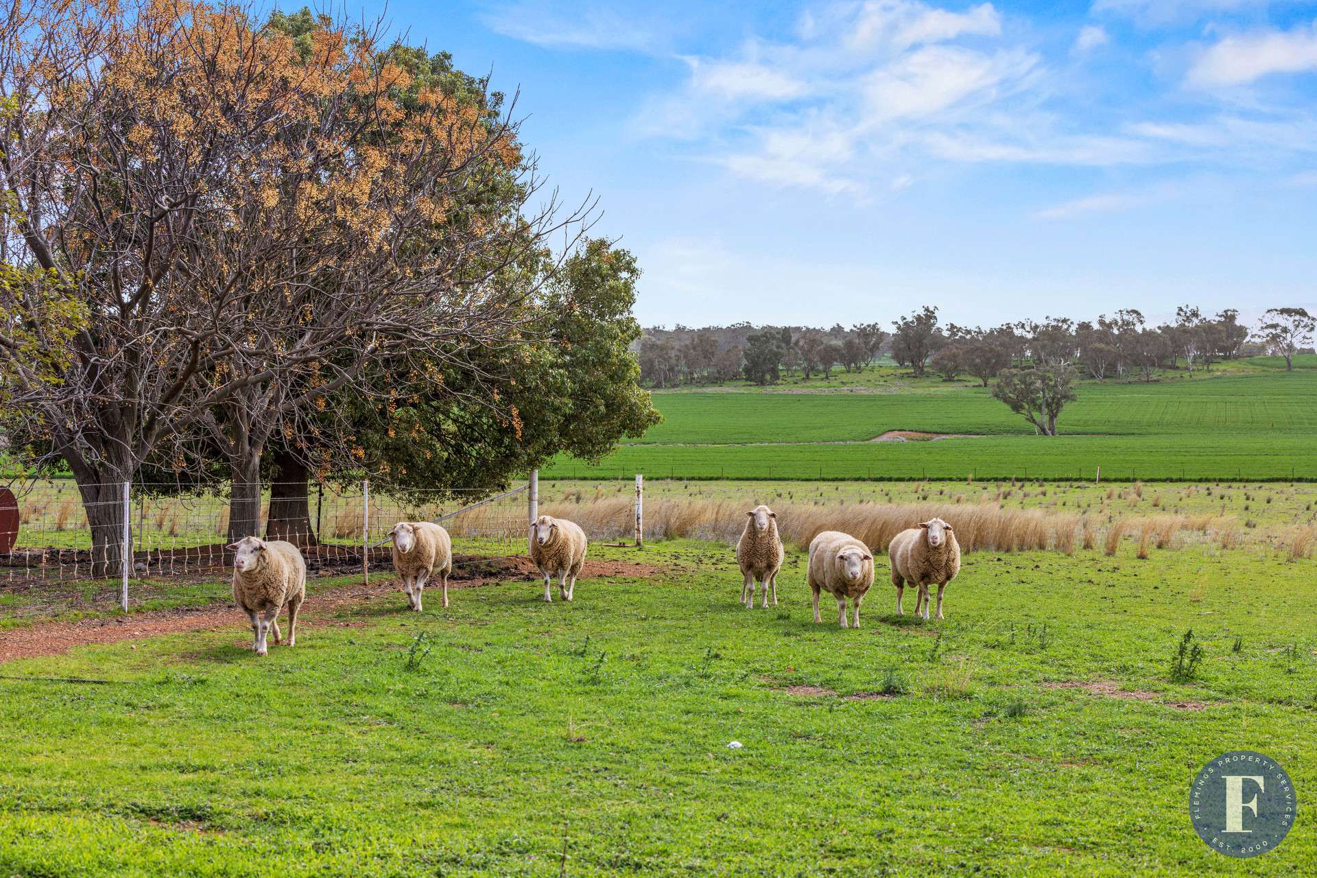893 Deaths Lane, Pullabooka For Sale by Farmbuy.com - image 28