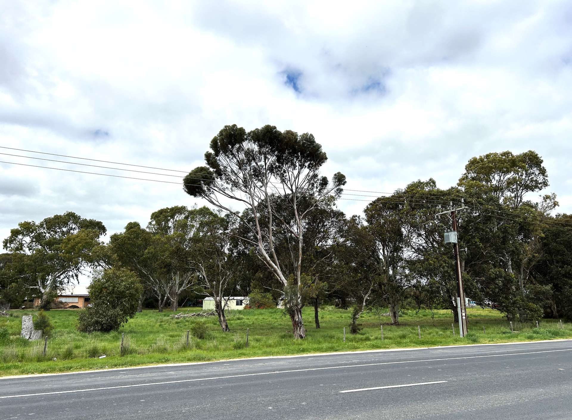 Lot 14 Deviation Road, Naracoorte Sold by Farmbuy.com - image 3