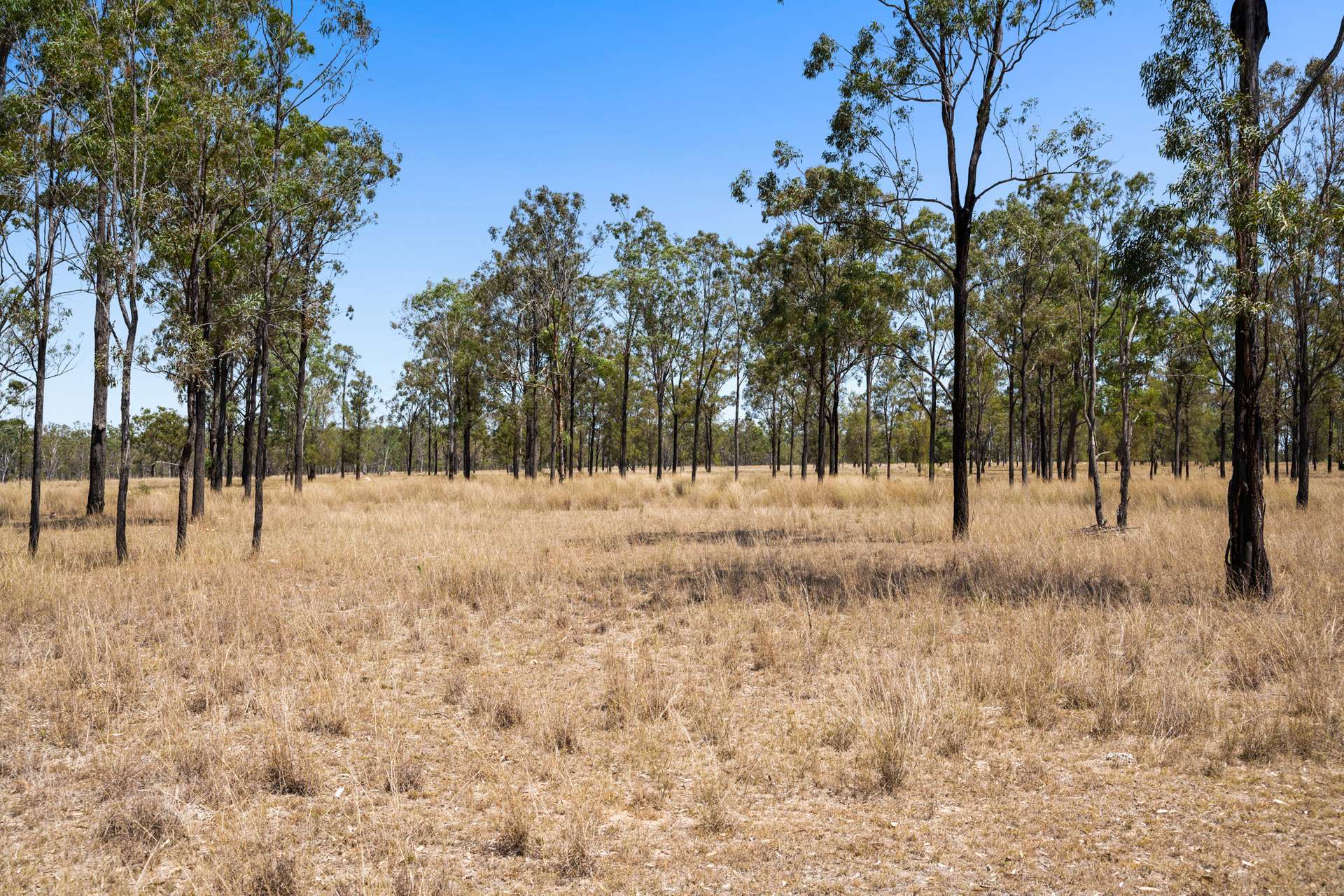 Lot 14 Coes Boundary Road, Durong Sold by Farmbuy.com - image 11