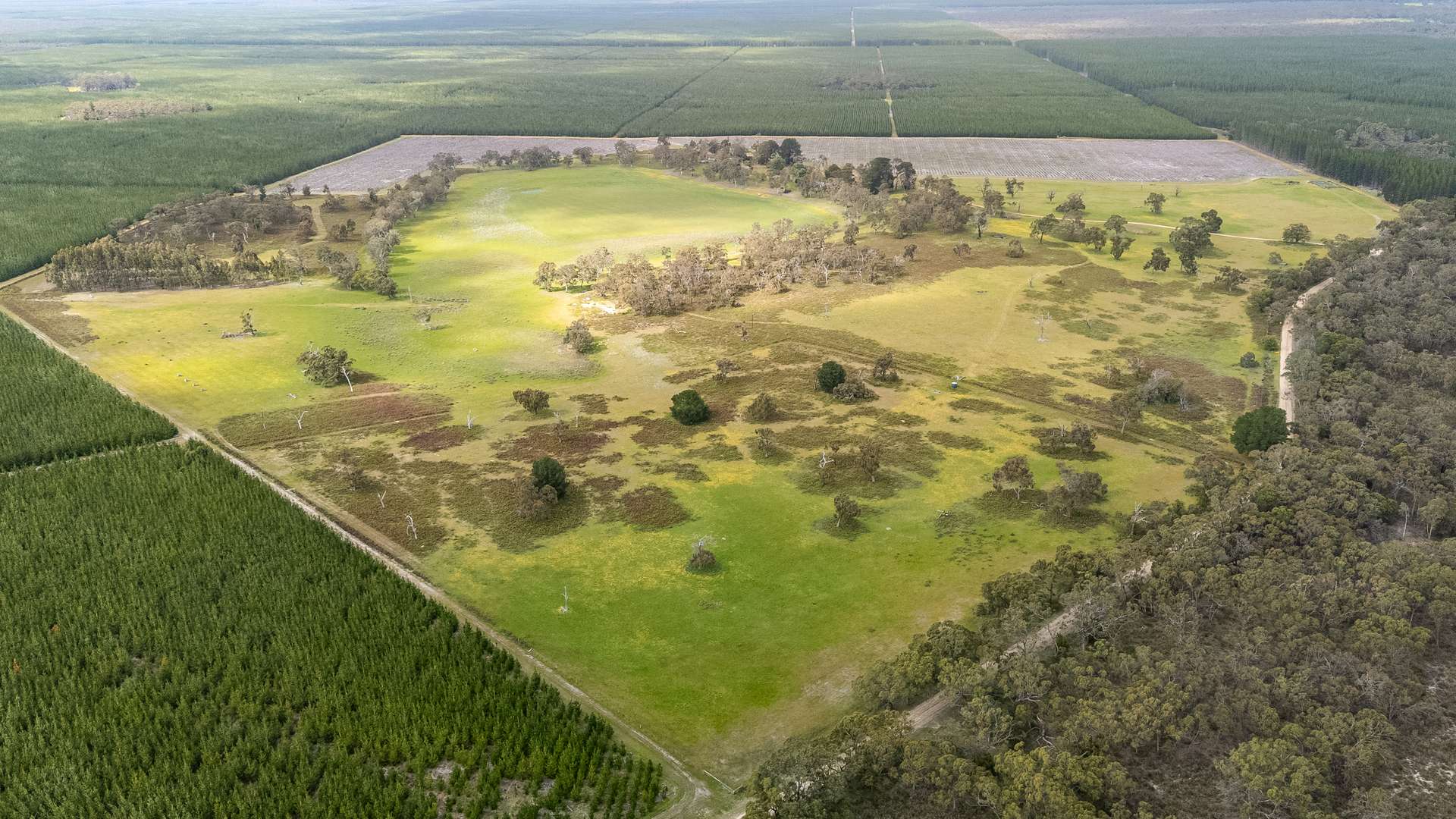 1242 Old Comaum Rd, Coonawarra For Sale by Farmbuy.com - image 2