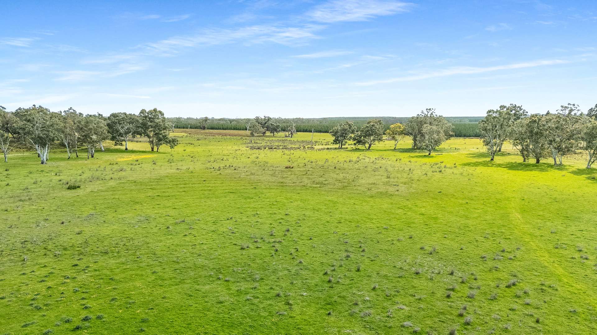 1242 Old Comaum Rd, Coonawarra For Sale by Farmbuy.com - image 23