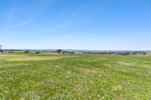 Farm Sold - NSW - Mount Rankin - 2795 - UNDER CONTRACT - “JCR Lodge” - Position, Potential & views to Mt Panorama! 
