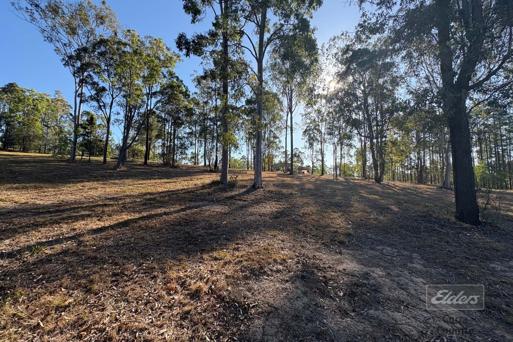 Lot 313 Arborseven Road, Glenwood Sold by Farmbuy.com - image 7