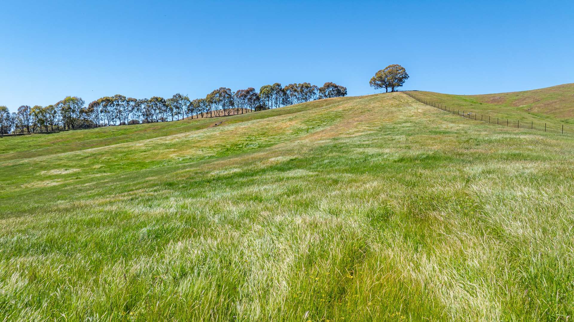 'High View'/778 Mountain Creek Road, Mullengandra Sold by Farmbuy.com - image 22