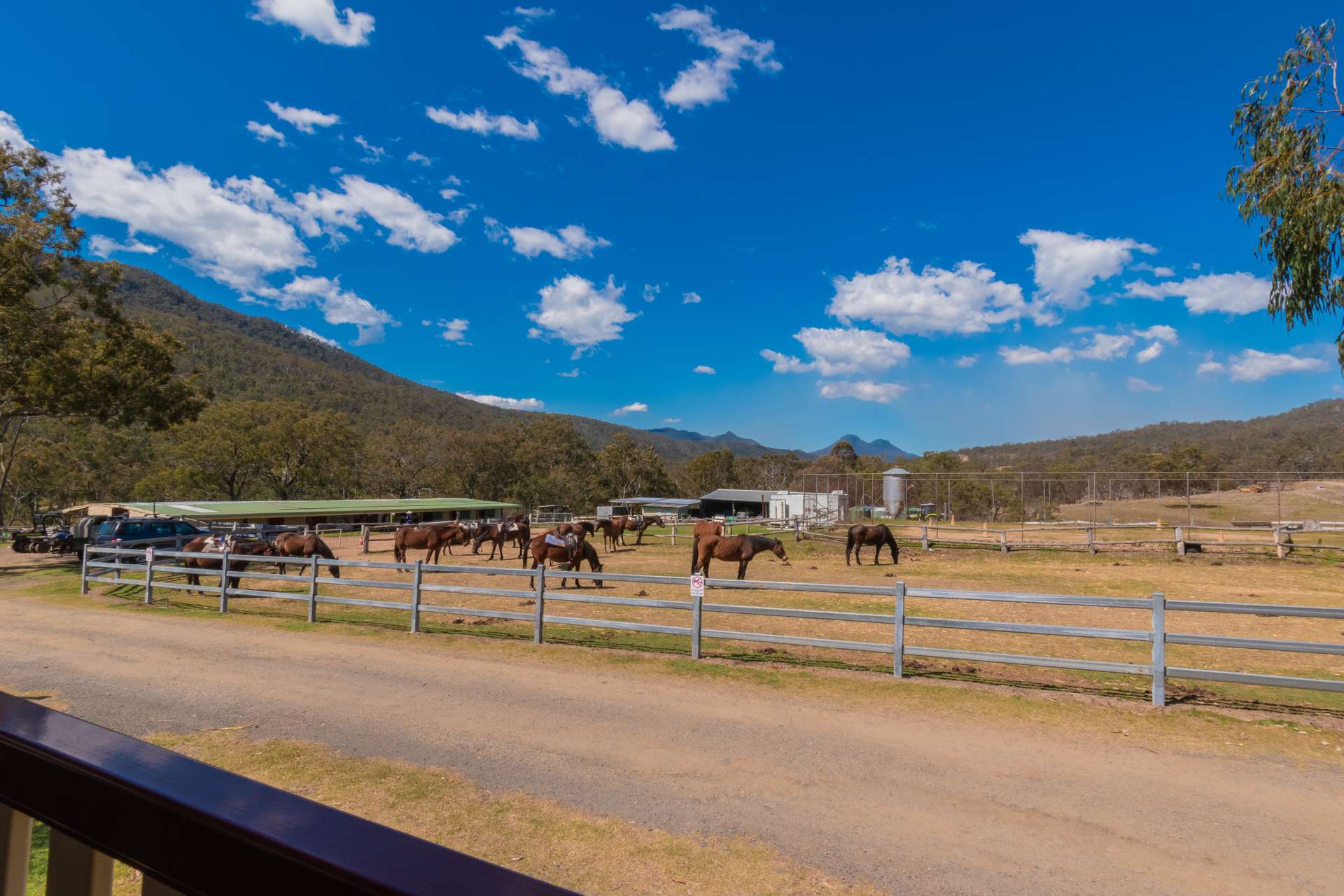 9790 Cunningham Highway, Tregony For Sale by Farmbuy.com - image 24