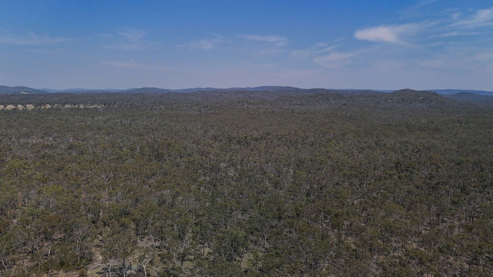 Lot 8 Binghi Road, Tenterfield Sold by Farmbuy.com - image 6