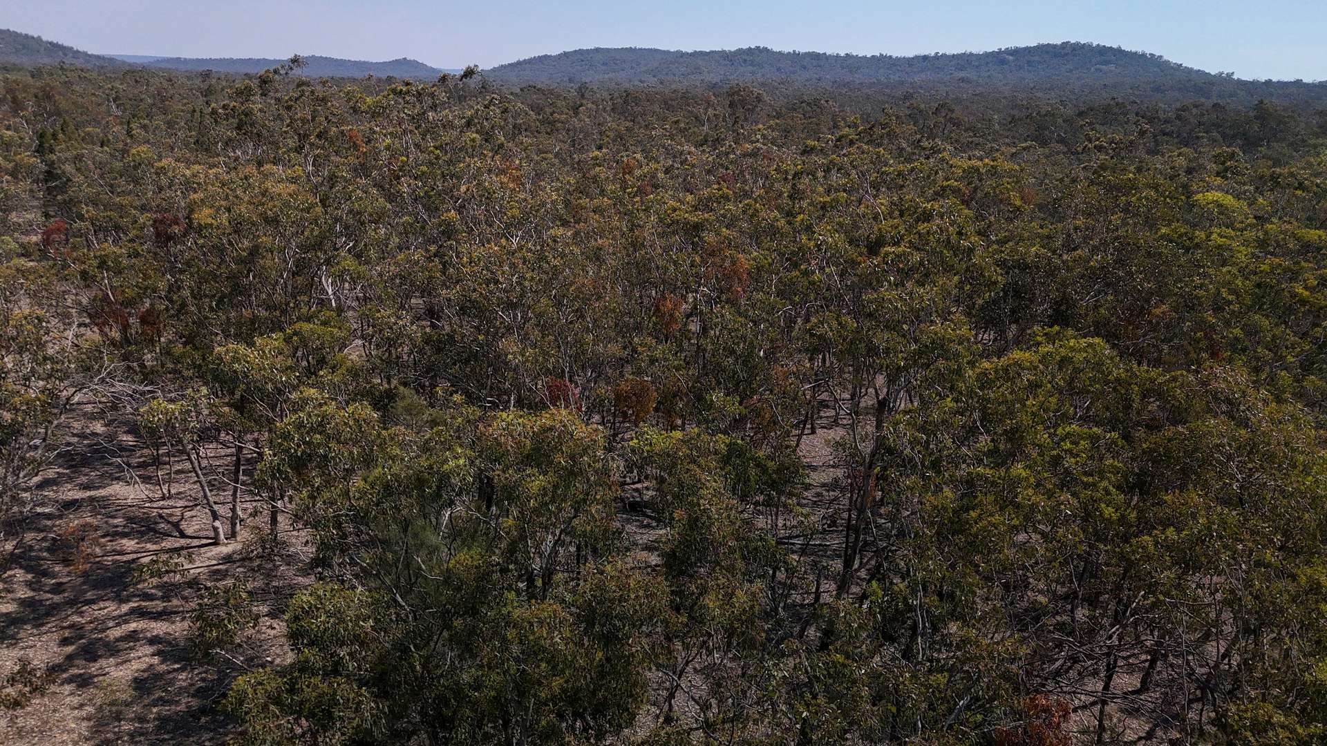 Lot 8 Binghi Road, Tenterfield Sold by Farmbuy.com - image 10
