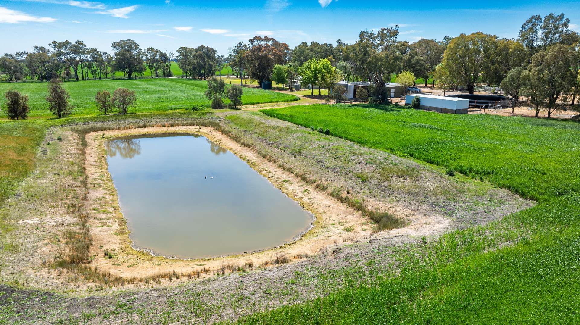 106 Cornishtown Road, Rutherglen For Sale by Farmbuy.com - image 12