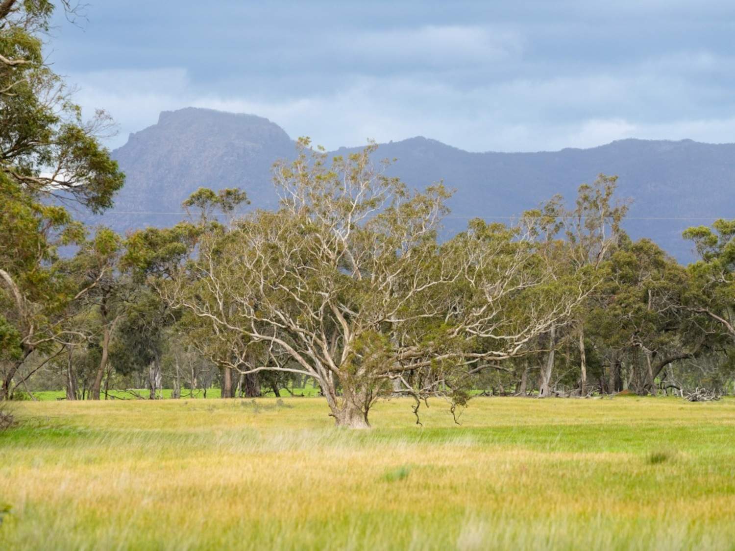 359 East West Road, Mooralla Sold by Farmbuy.com - image 17