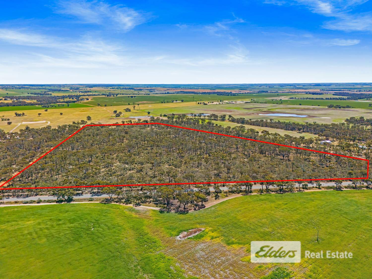 Lot 6,  Chester Pass Road, Amelup Sold by Farmbuy.com - image 4