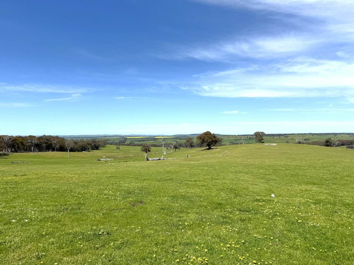 490 Geegullalong Road, Boorowa Sold by Farmbuy.com - image 15