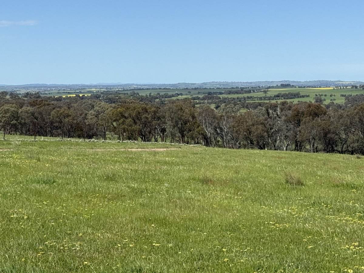 490 Geegullalong Road, Boorowa Sold by Farmbuy.com - image 9