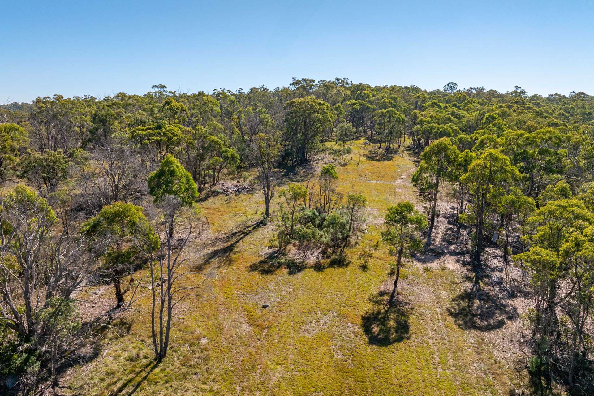 91 Rosehill Road, Bombala For Sale by Farmbuy.com - image 16
