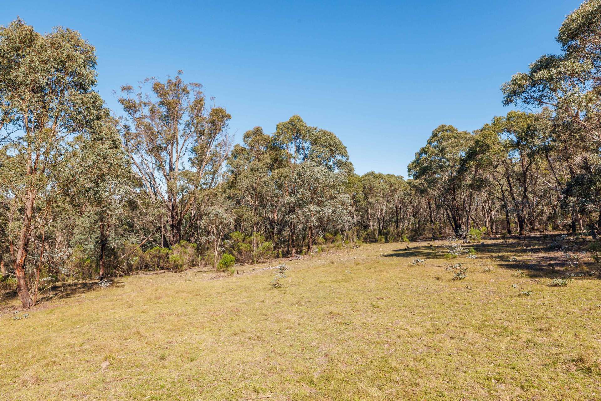 91 Rosehill Road, Bombala For Sale by Farmbuy.com - image 22
