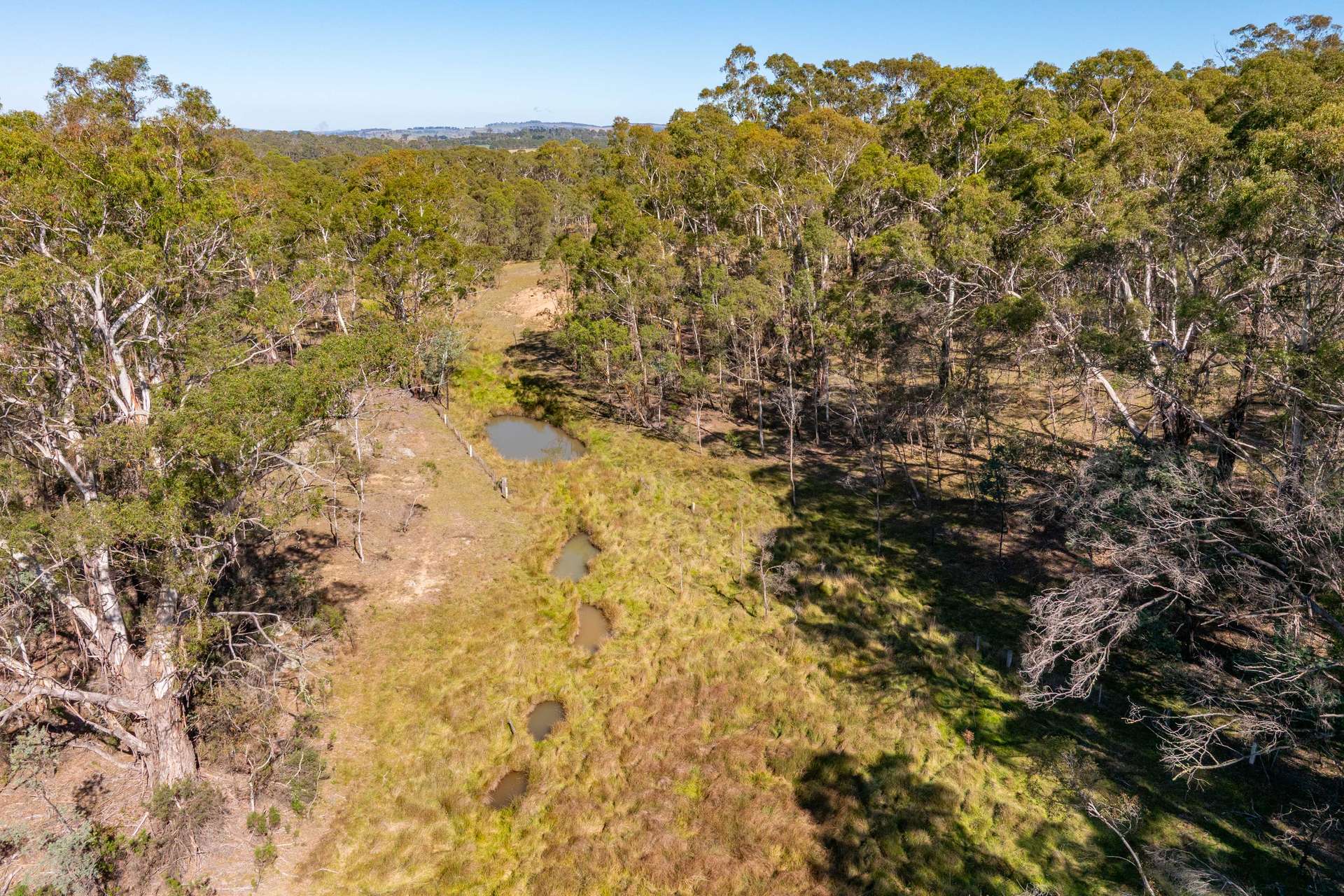 91 Rosehill Road, Bombala For Sale by Farmbuy.com - image 26