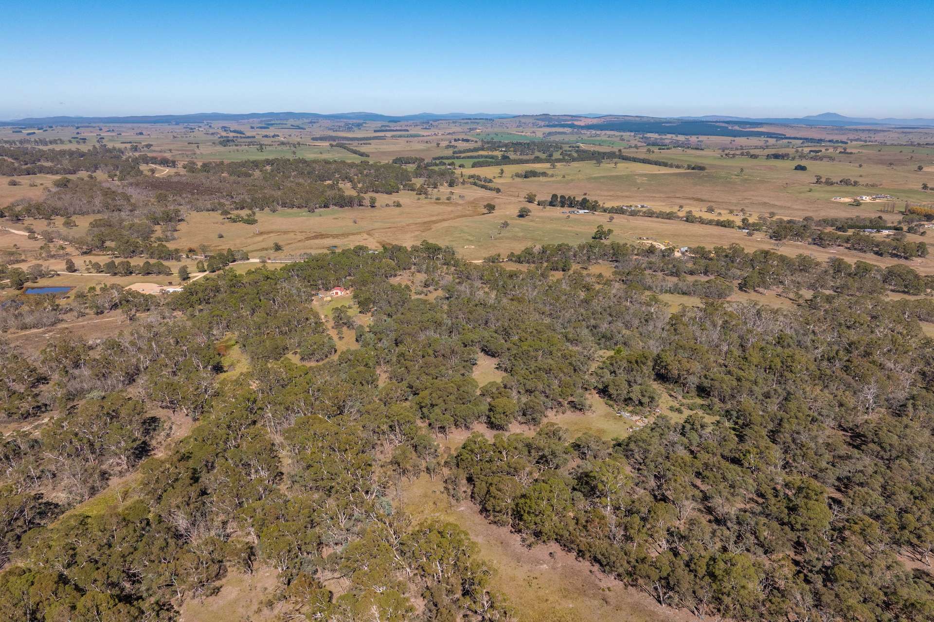 91 Rosehill Road, Bombala For Sale by Farmbuy.com - image 5