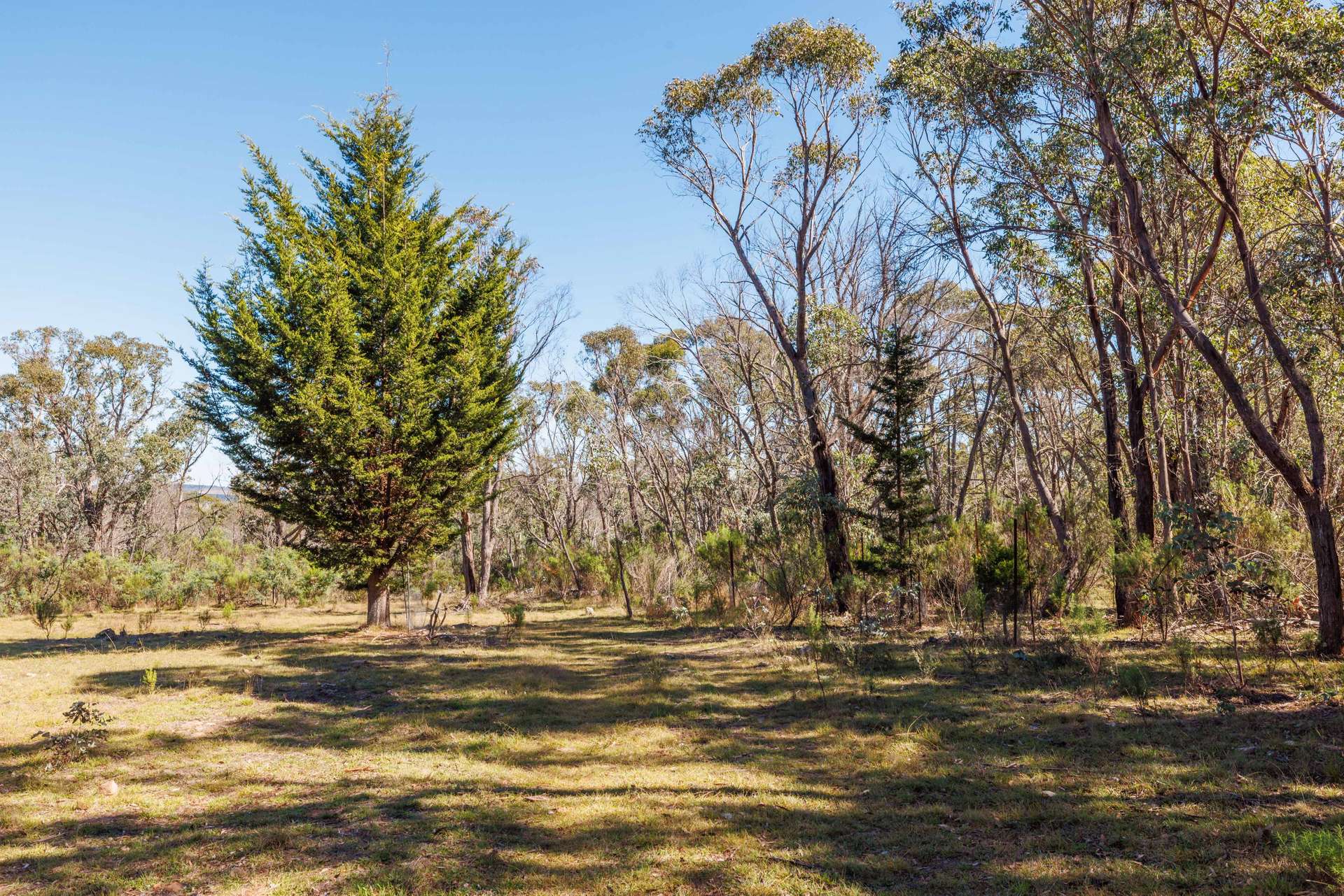 91 Rosehill Road, Bombala For Sale by Farmbuy.com - image 23