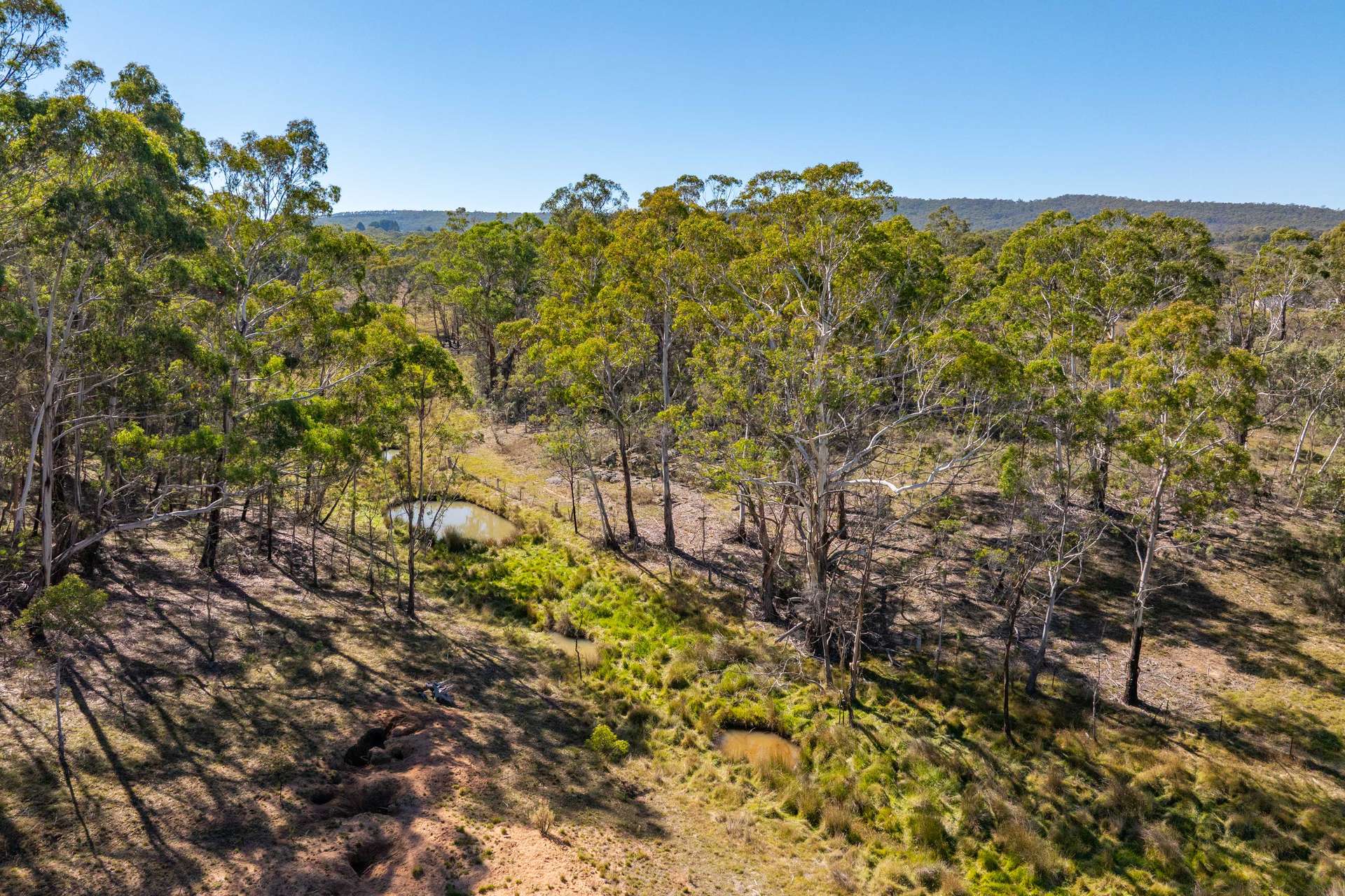 91 Rosehill Road, Bombala For Sale by Farmbuy.com - image 27