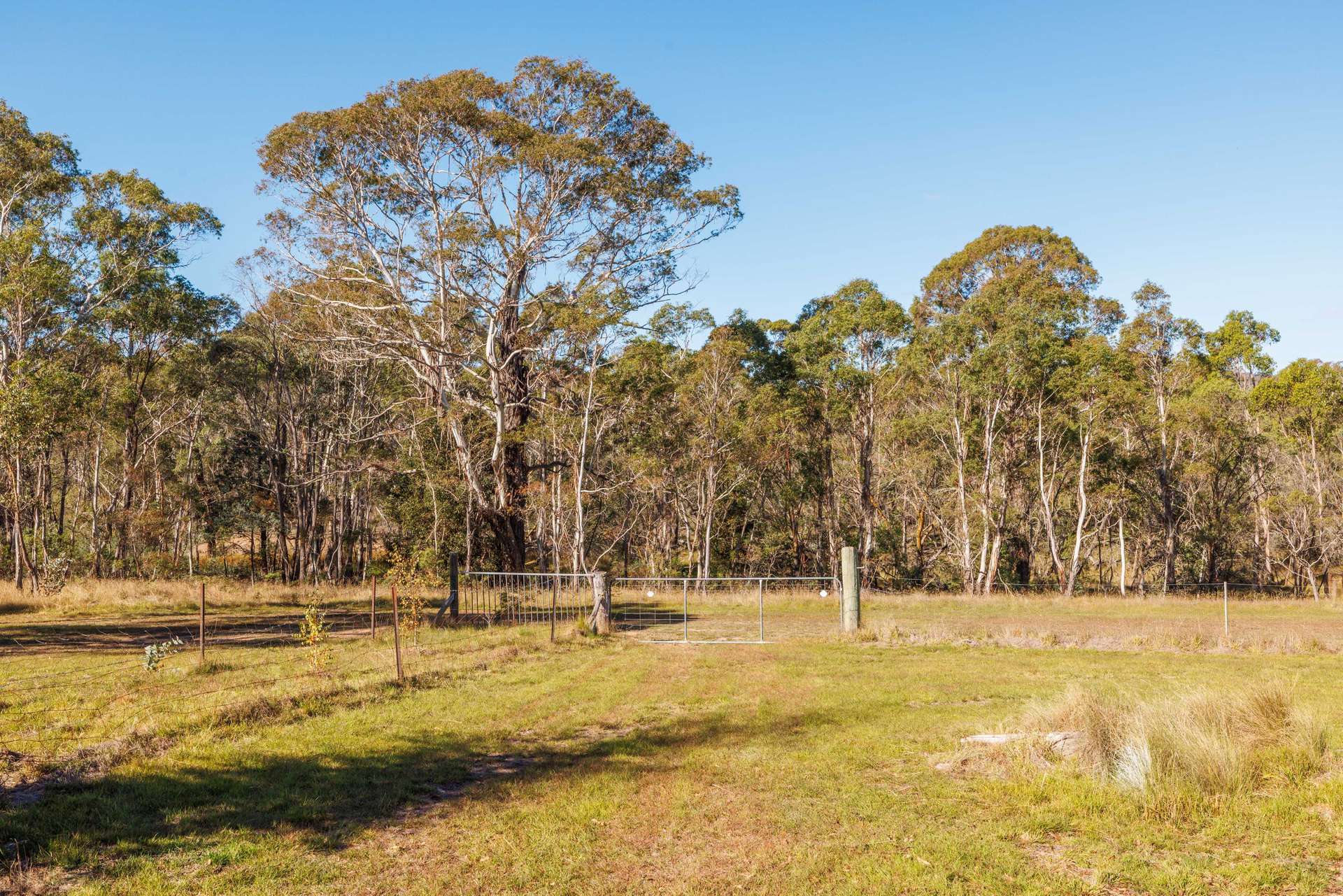 91 Rosehill Road, Bombala For Sale by Farmbuy.com - image 20