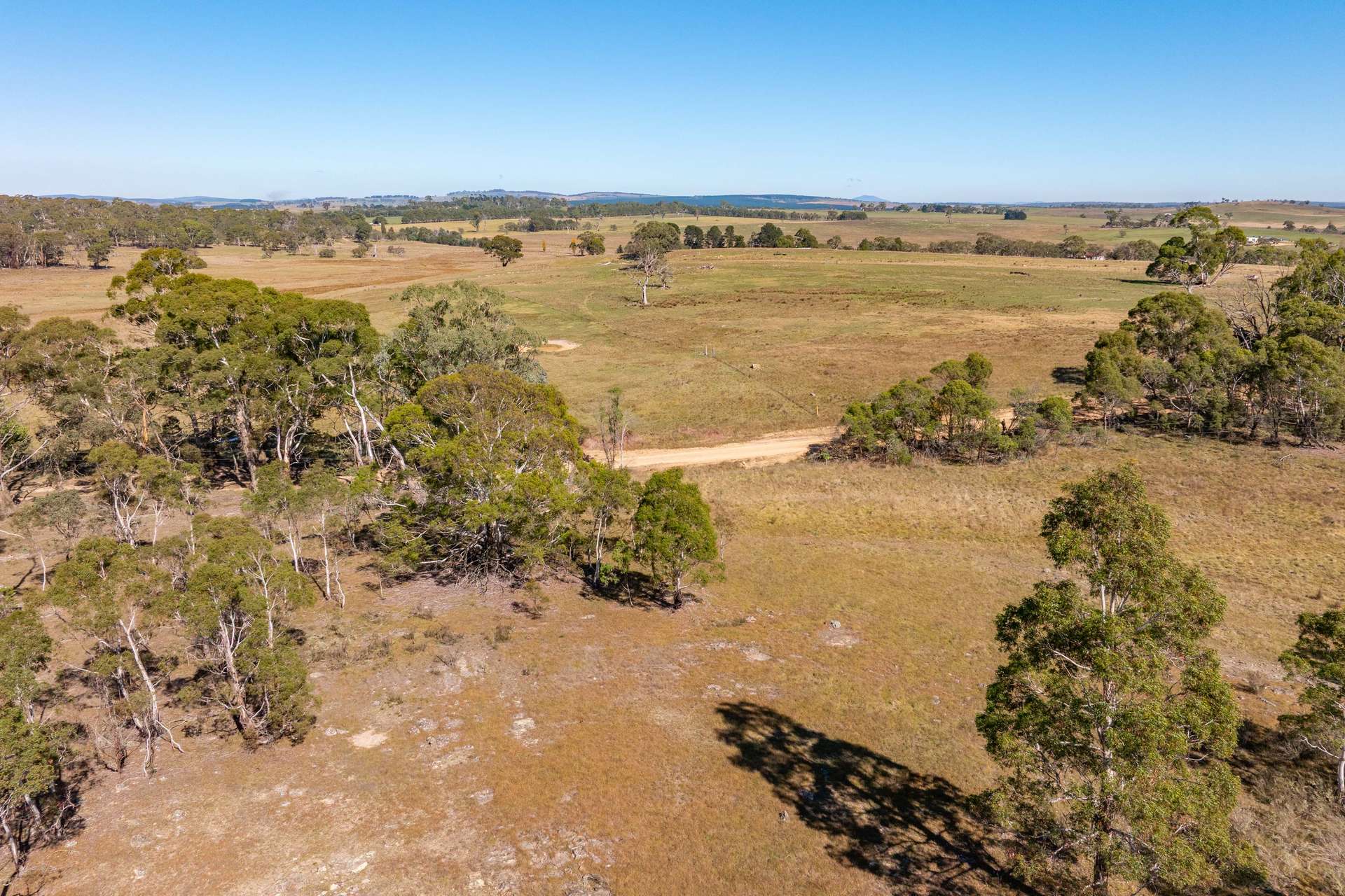 91 Rosehill Road, Bombala For Sale by Farmbuy.com - image 17