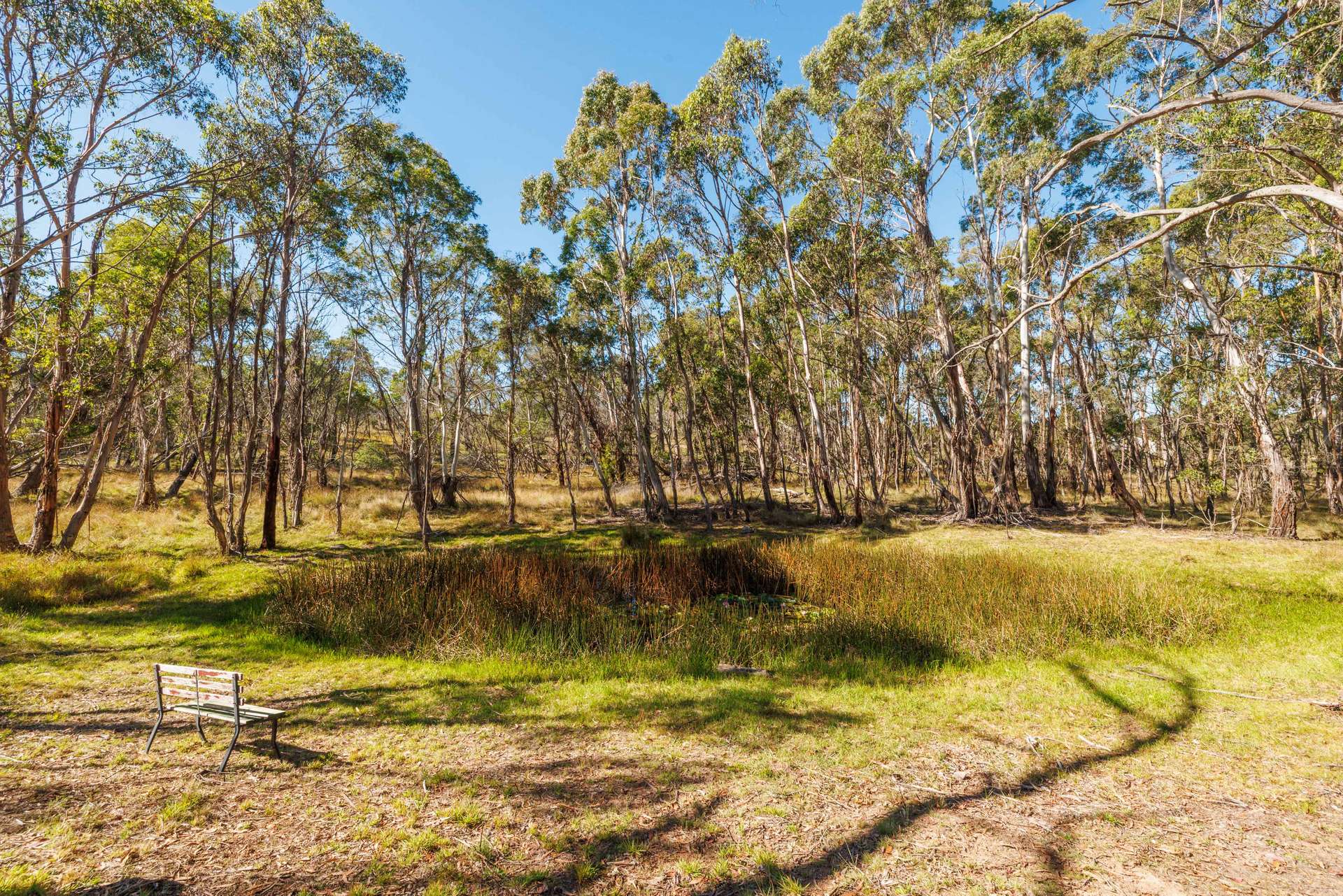 91 Rosehill Road, Bombala For Sale by Farmbuy.com - image 25