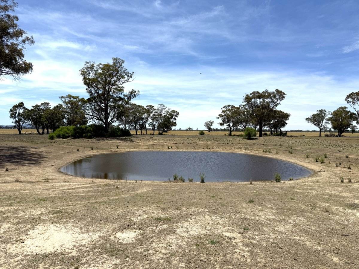 1539 Bland Road, Quandialla For Sale by Farmbuy.com - image 9