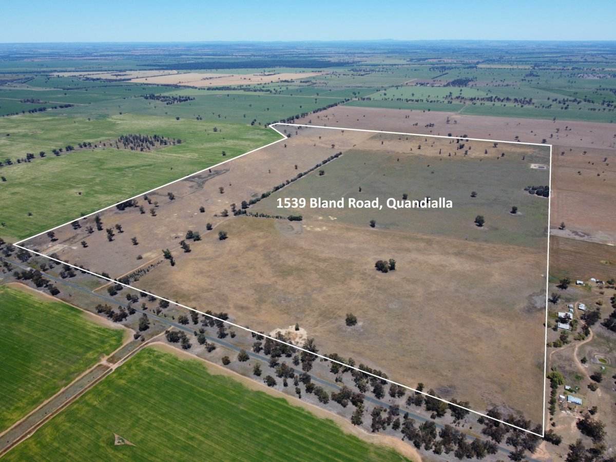 1539 Bland Road, Quandialla For Sale by Farmbuy.com - image 2