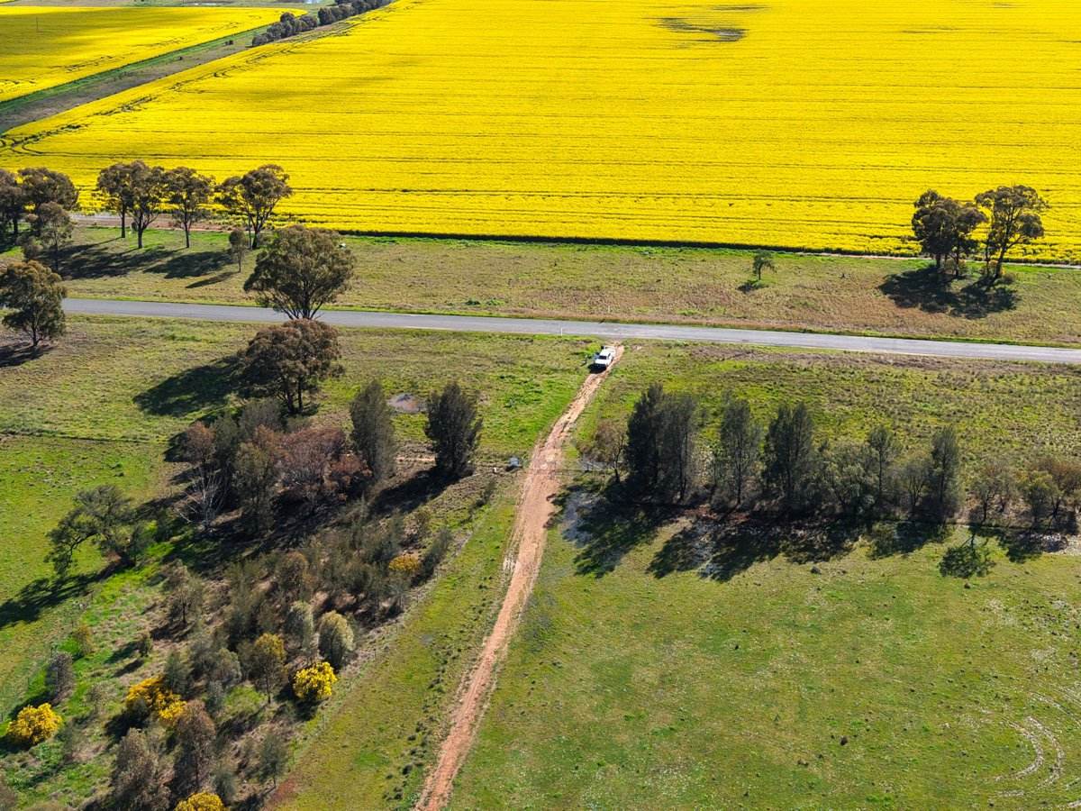 1539 Bland Road, Quandialla For Sale by Farmbuy.com - image 23
