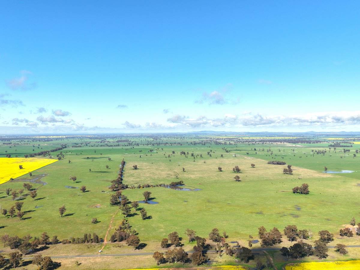 1539 Bland Road, Quandialla For Sale by Farmbuy.com - image 1
