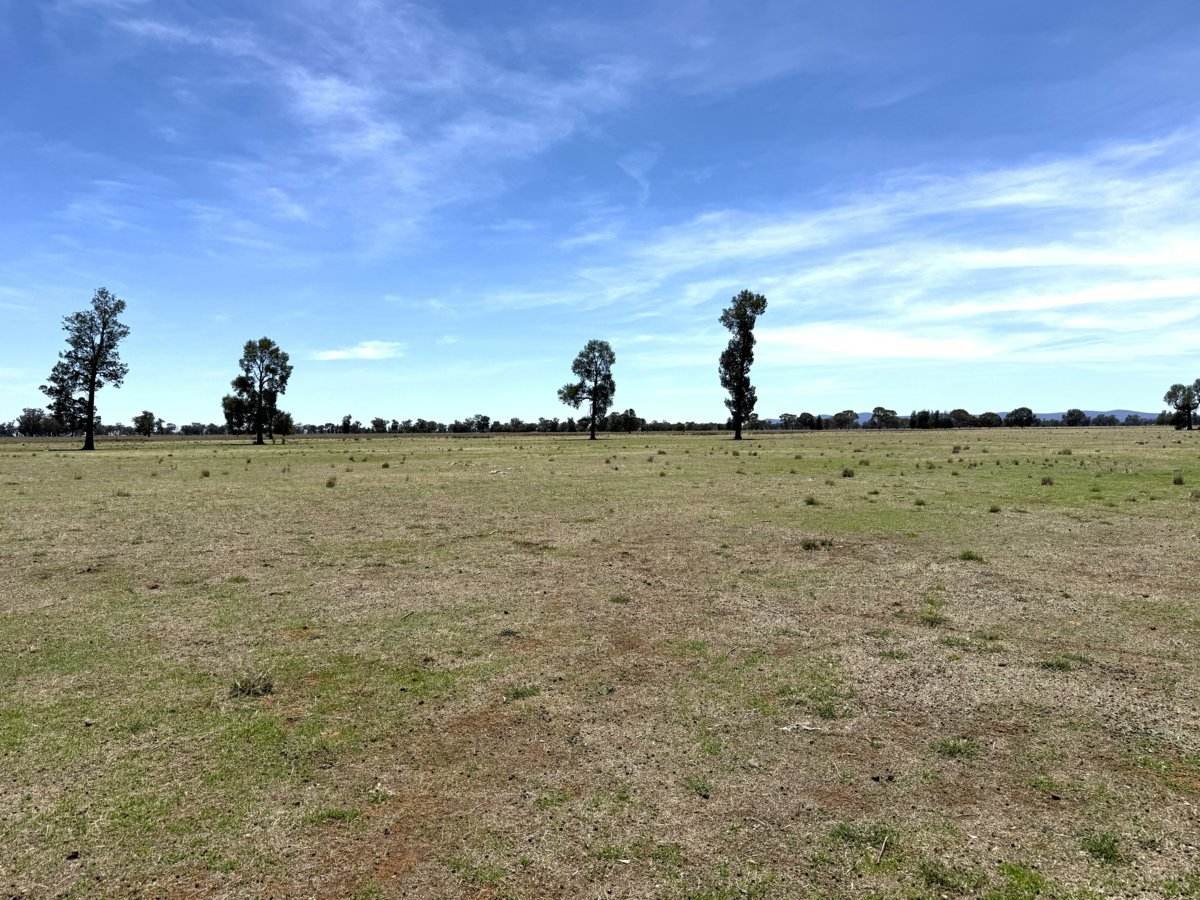 1539 Bland Road, Quandialla For Sale by Farmbuy.com - image 10
