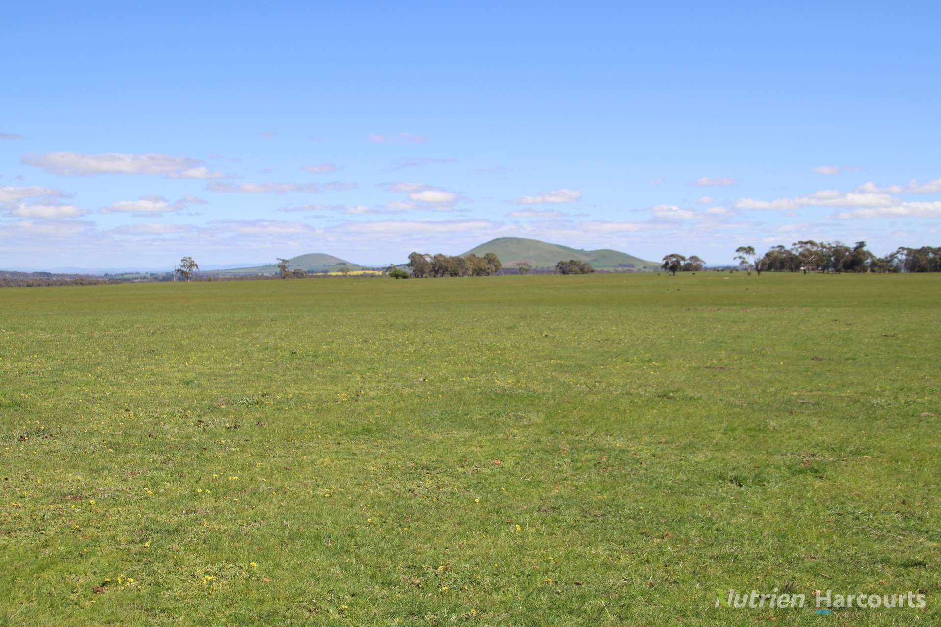 279 Eastern Hill Road, Blampied Sold by Farmbuy.com - image 5