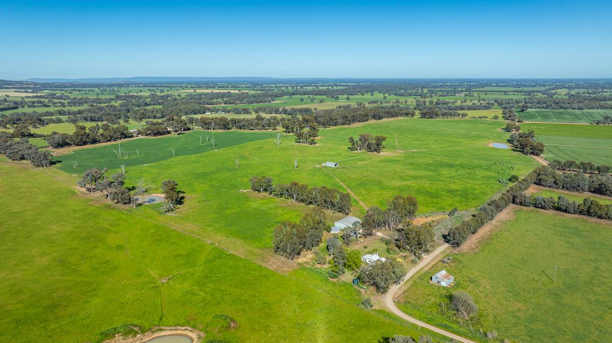 16 McGee Road, Cornishtown Sold by Farmbuy.com - image 1