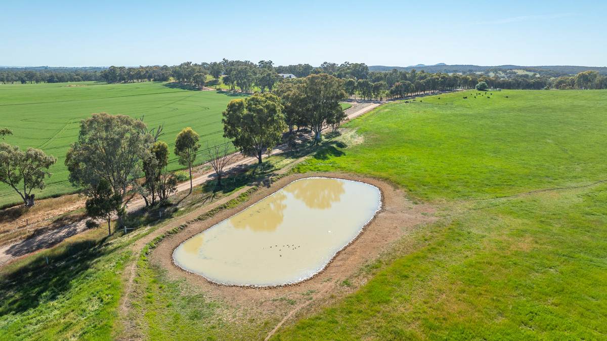 16 McGee Road, Cornishtown Sold by Farmbuy.com - image 8
