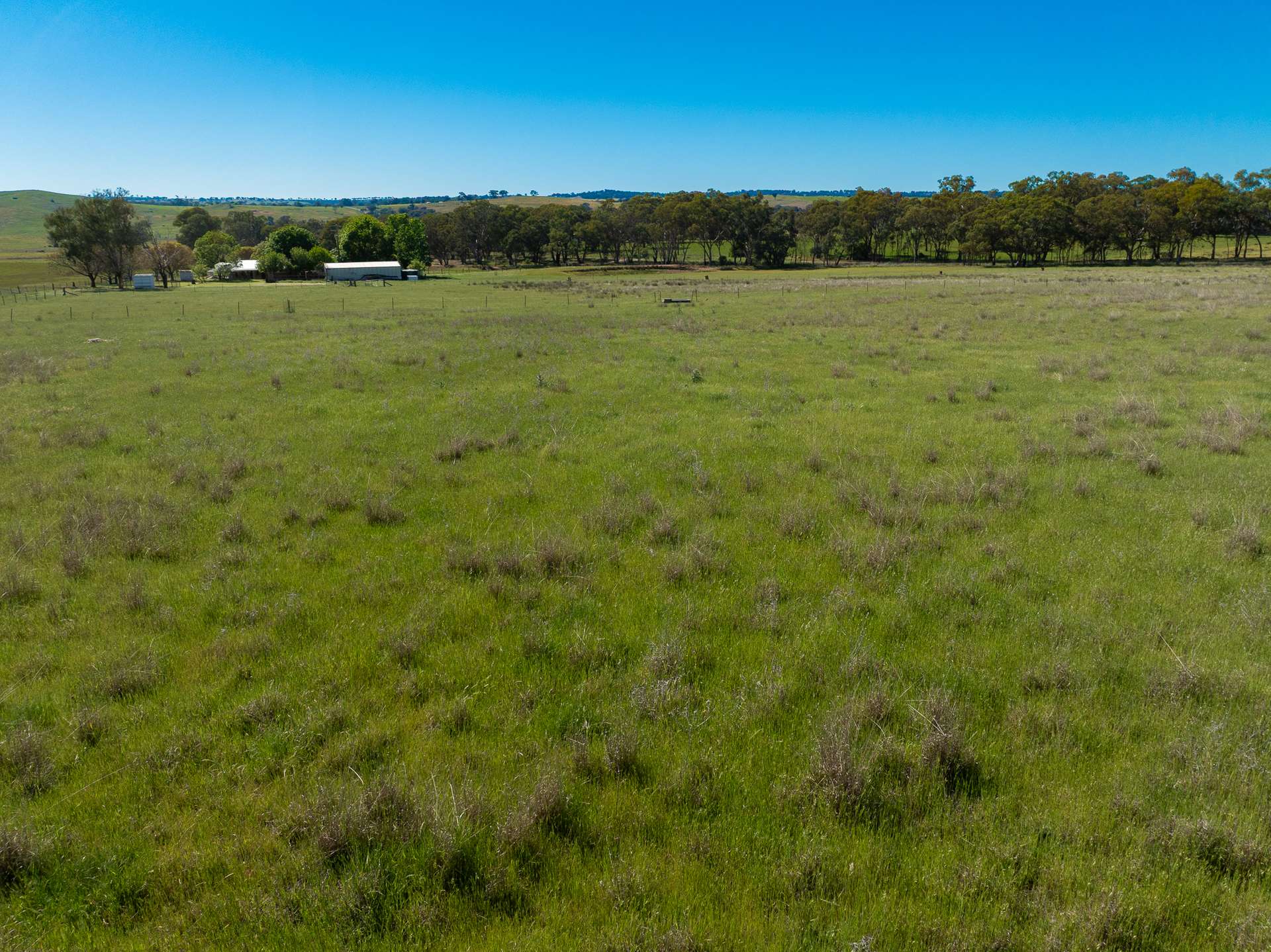 338 Baldry Road, Cumnock Via, Molong For Sale by Farmbuy.com - image 28