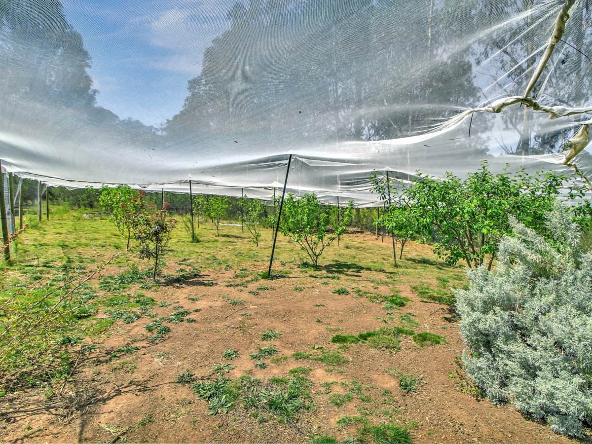 24 Gardam Court, Bruthen For Sale by Farmbuy.com - image 11