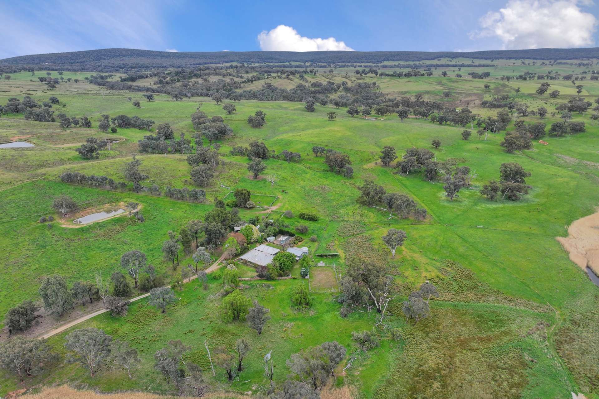 "Moura" Waterhole Creek Road, Mandagery For Sale by Farmbuy.com - image 2
