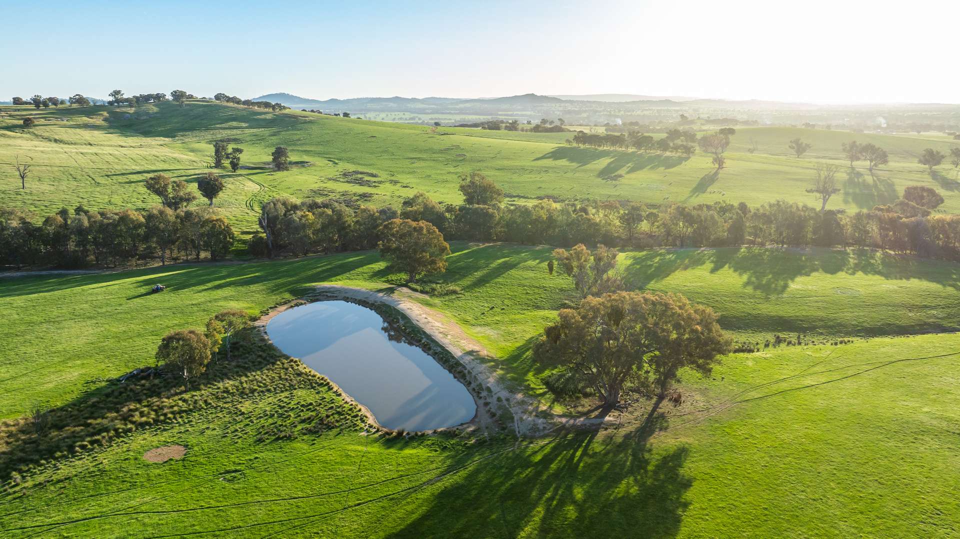 Lot 1/279 & Lot 2/281 Jingellic Road, Holbrook For Sale by Farmbuy.com - image 15